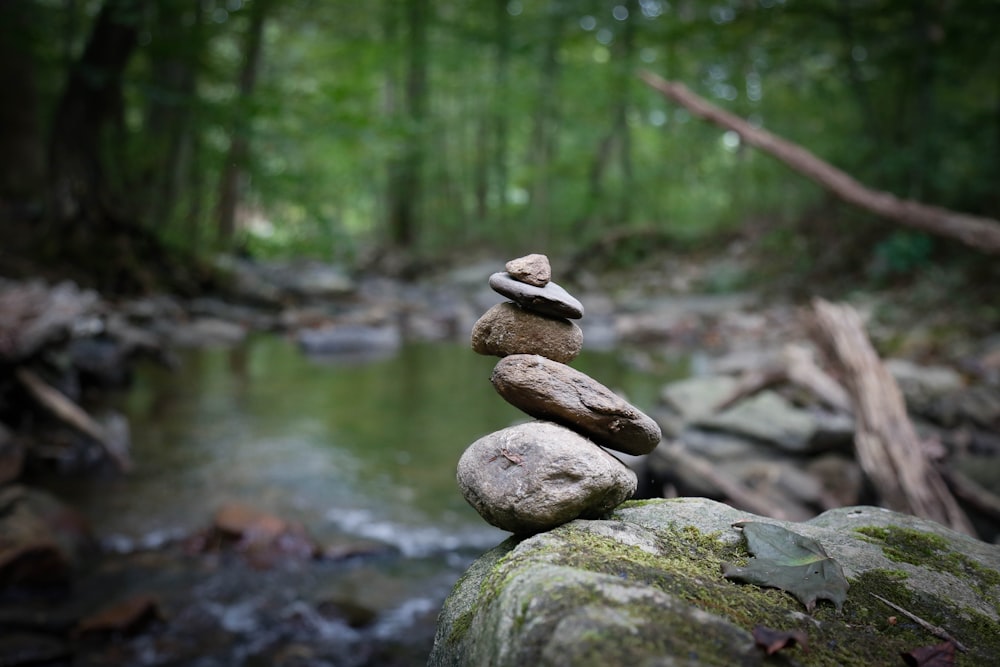 brown and gray stones on river during daytime