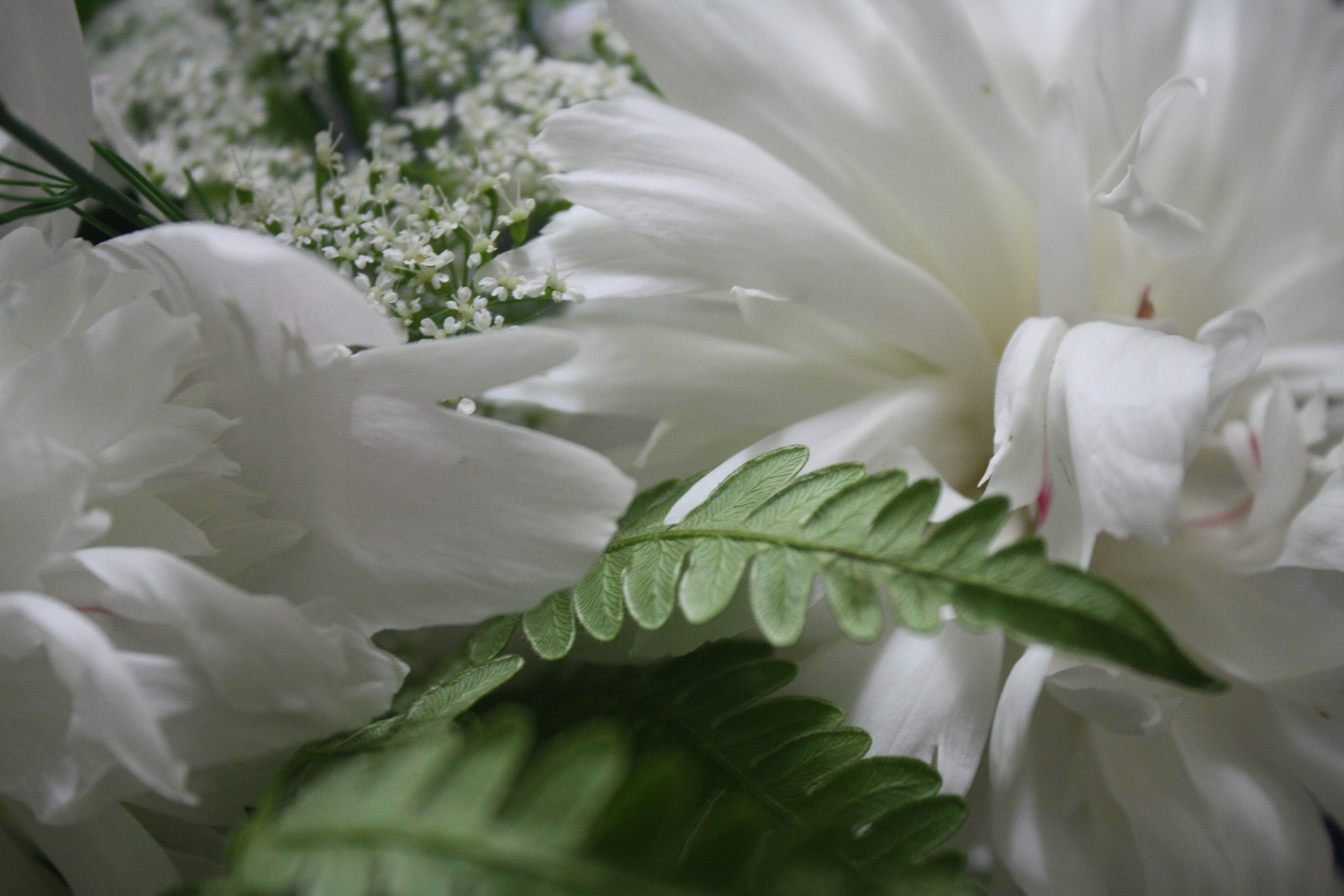 Photo by azborus