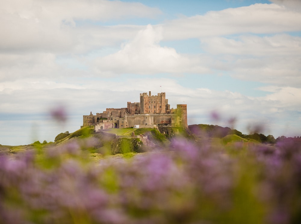 gray concrete castle on green grass field under white clouds and blue sky during daytime