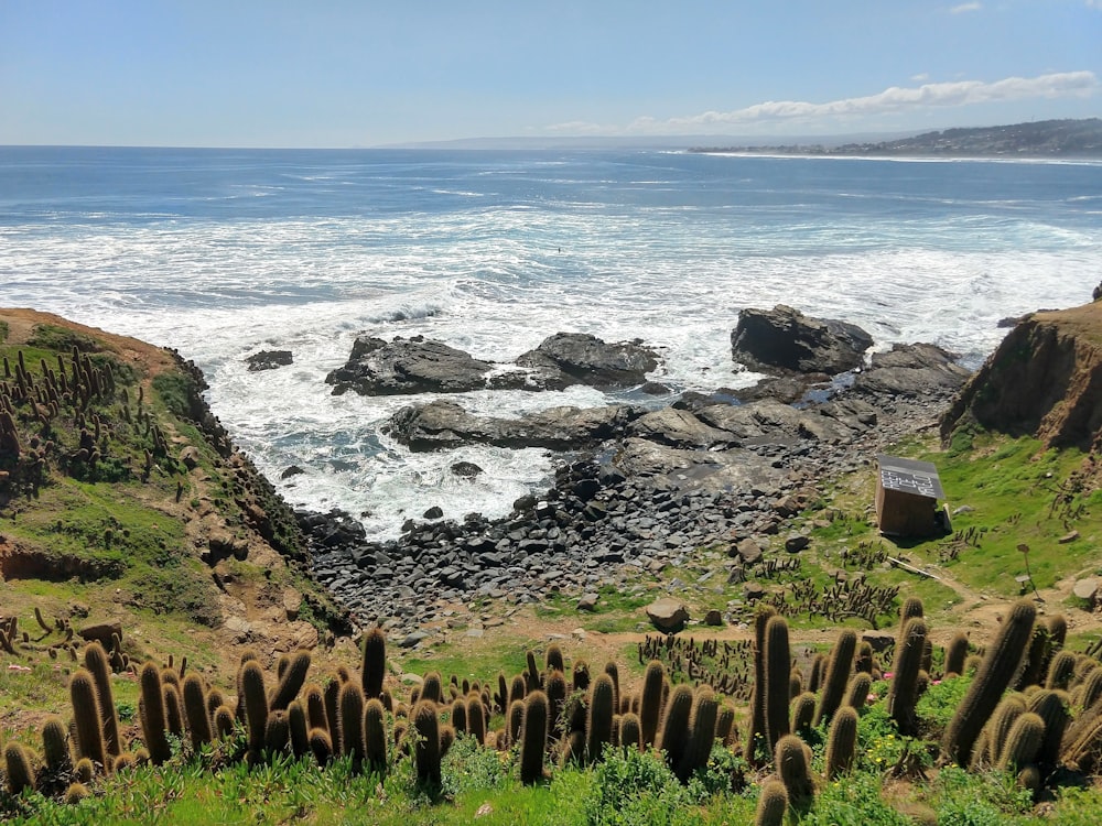 brown rocks on seashore during daytime