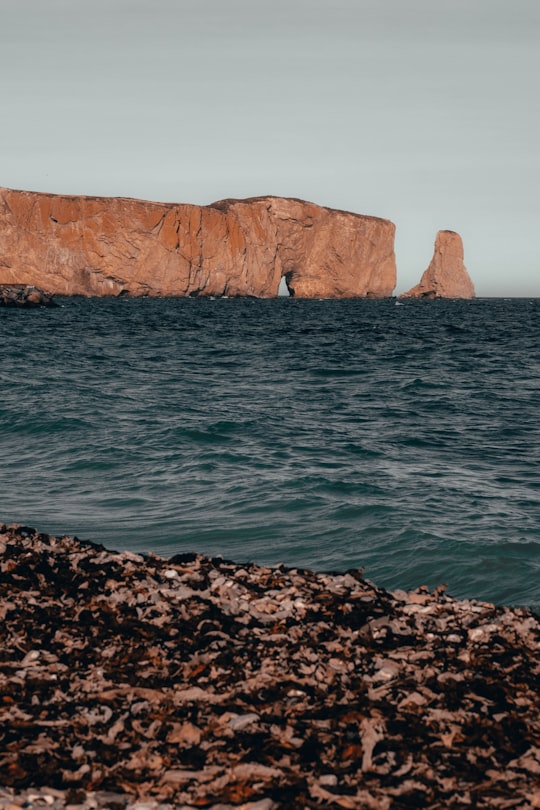 brown rock formation beside body of water during daytime in Percé Rock Canada