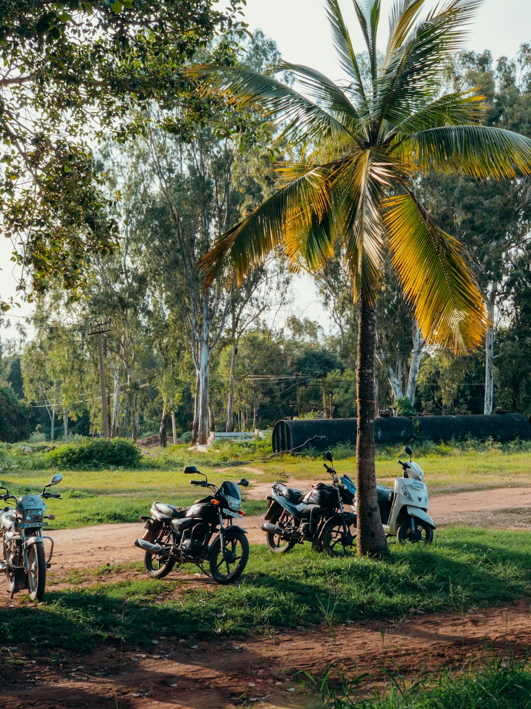 people riding motorcycle on green grass field during daytime