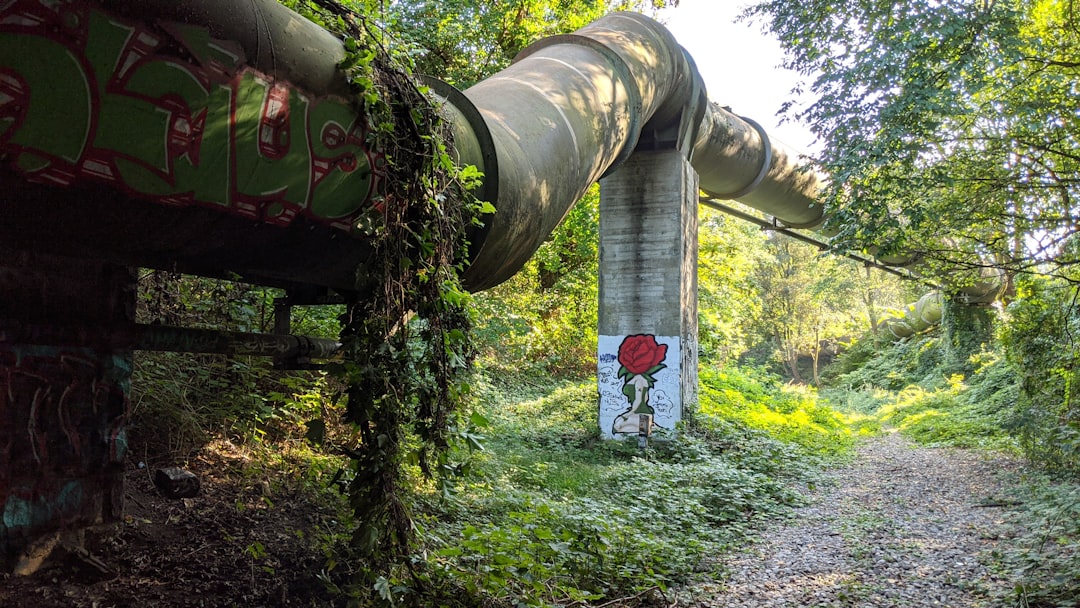 Forest photo spot Gartenstadt-Nord Bergisches Land