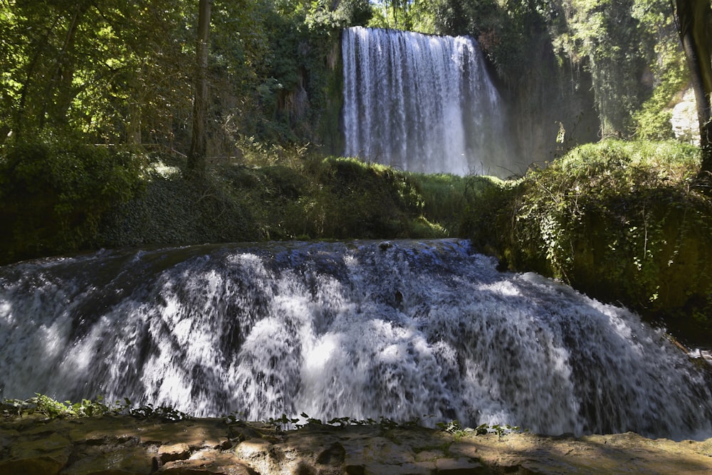 waterfalls near green trees during daytime