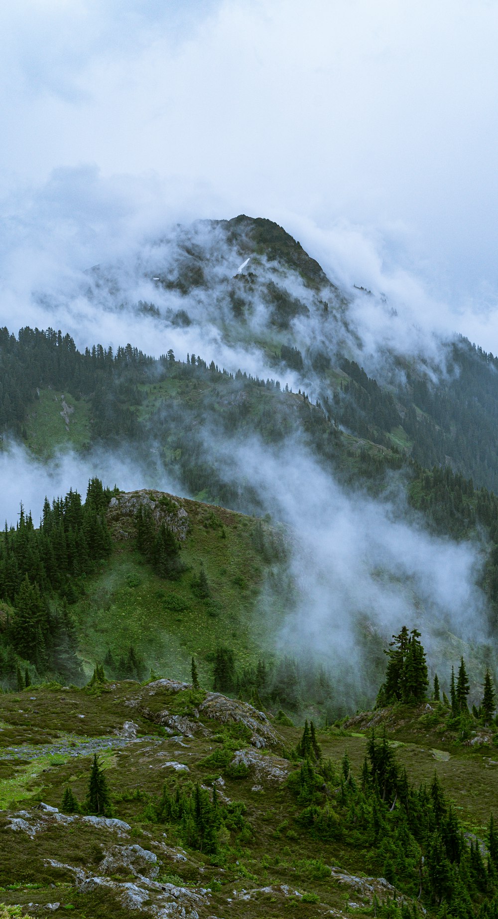 árvores verdes na montanha sob nuvens brancas durante o dia