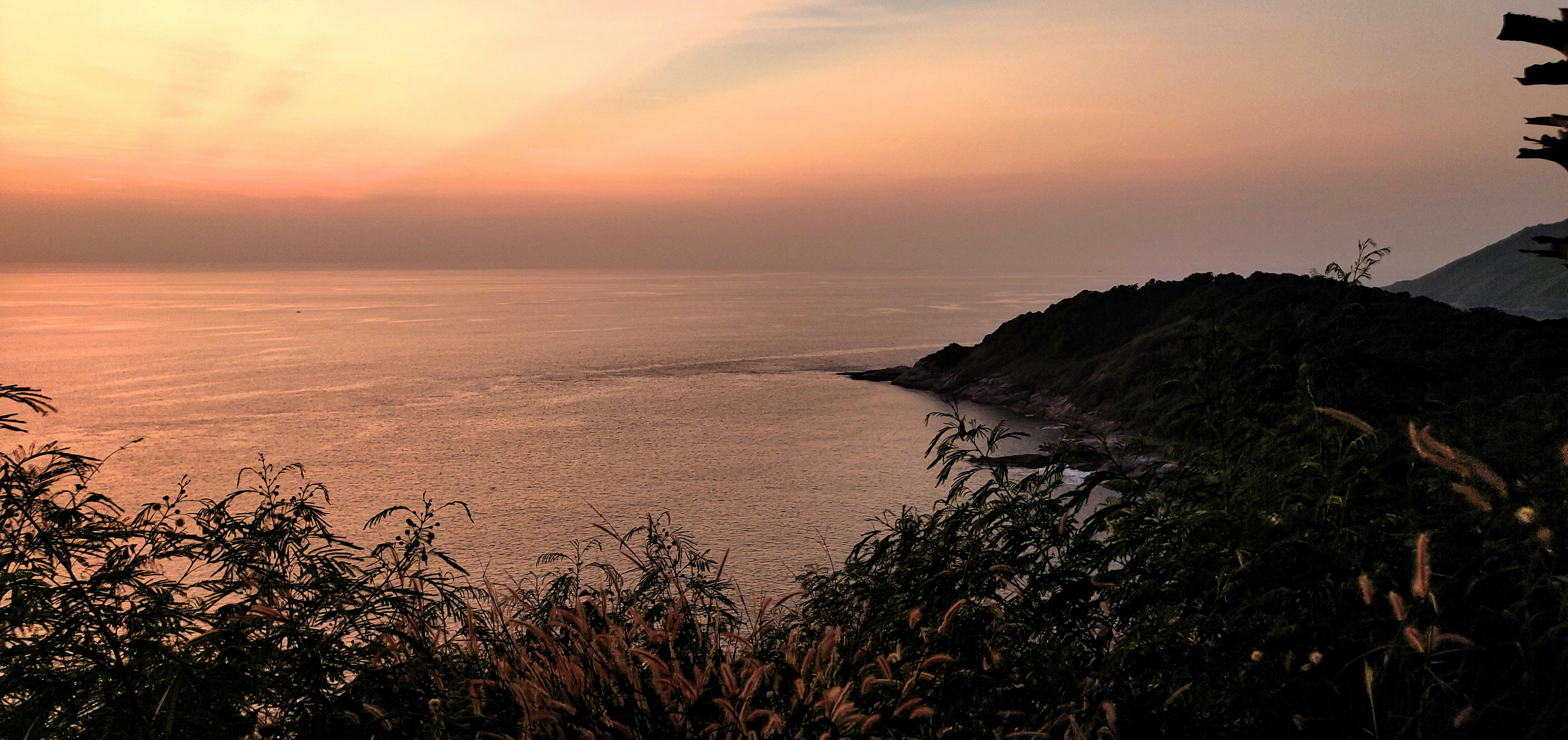 Book Your Consultation