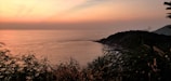 A serene landscape of Florida's nature coast at sunset.