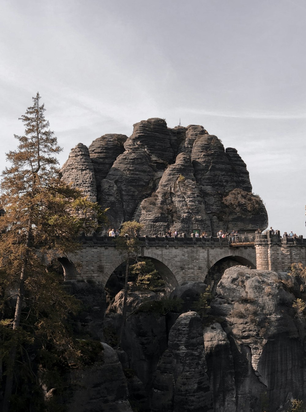 brown rock formation near green trees during daytime