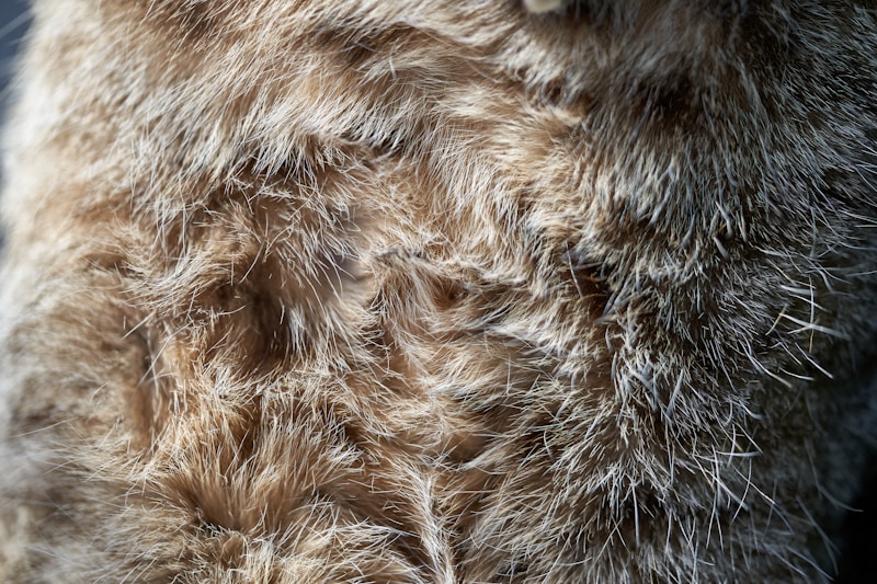 brown and black fur textile