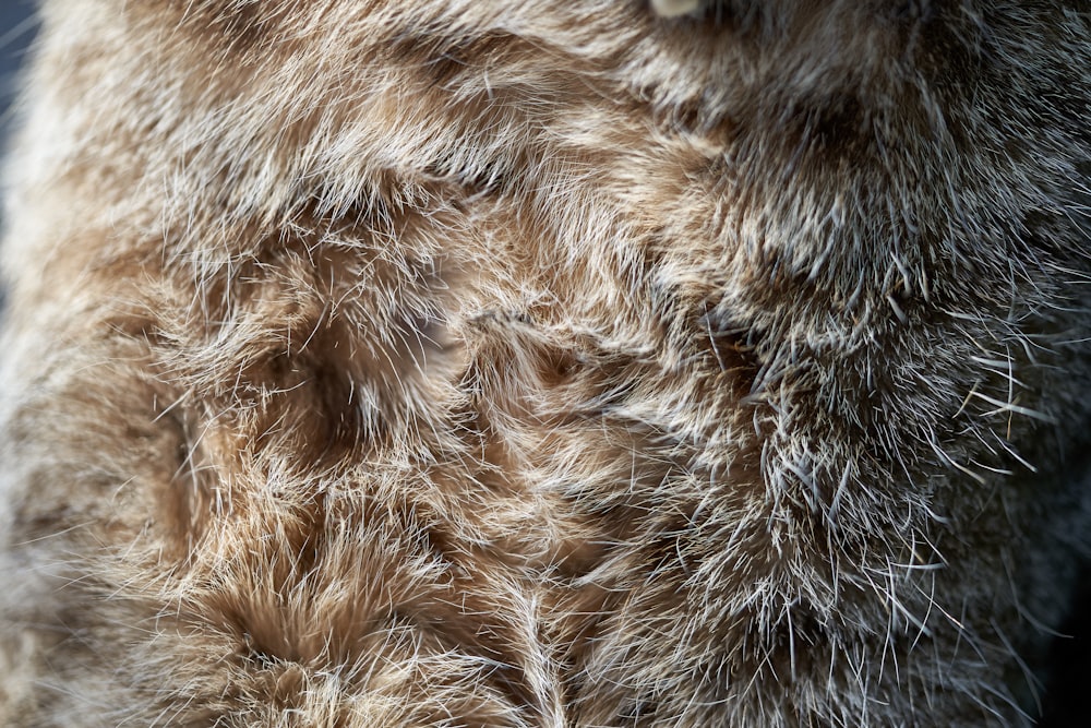 brown and black fur textile