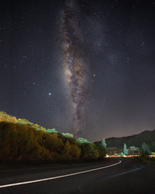 green trees beside road under starry night in Oued Djer Algeria