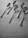 Close-up of elegant stainless steel spoons arranged on a white table with antique gold accents.