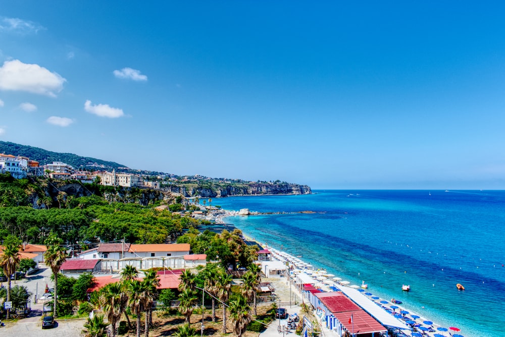 aerial view of city buildings near sea during daytime