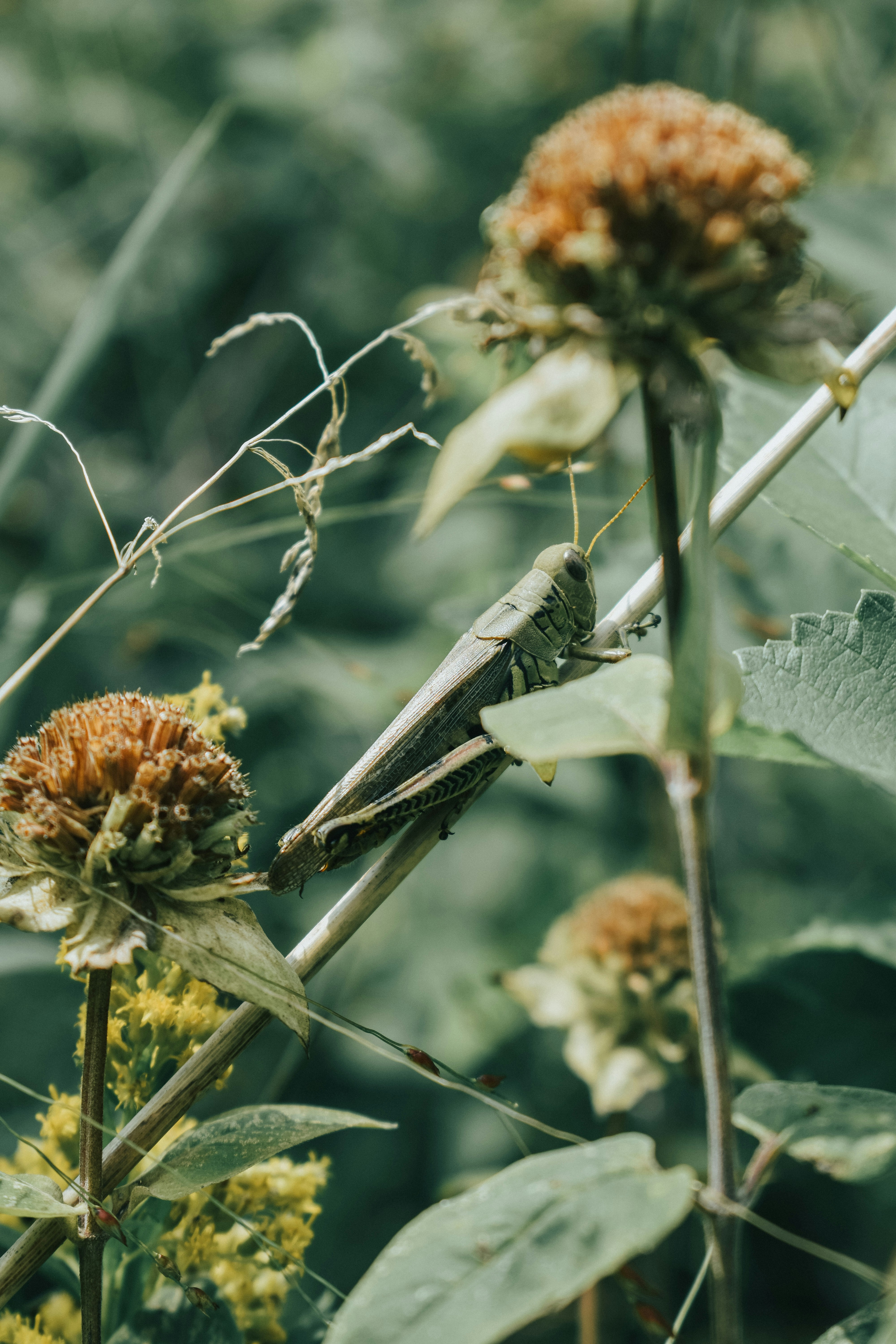 Photo by mariahhewines