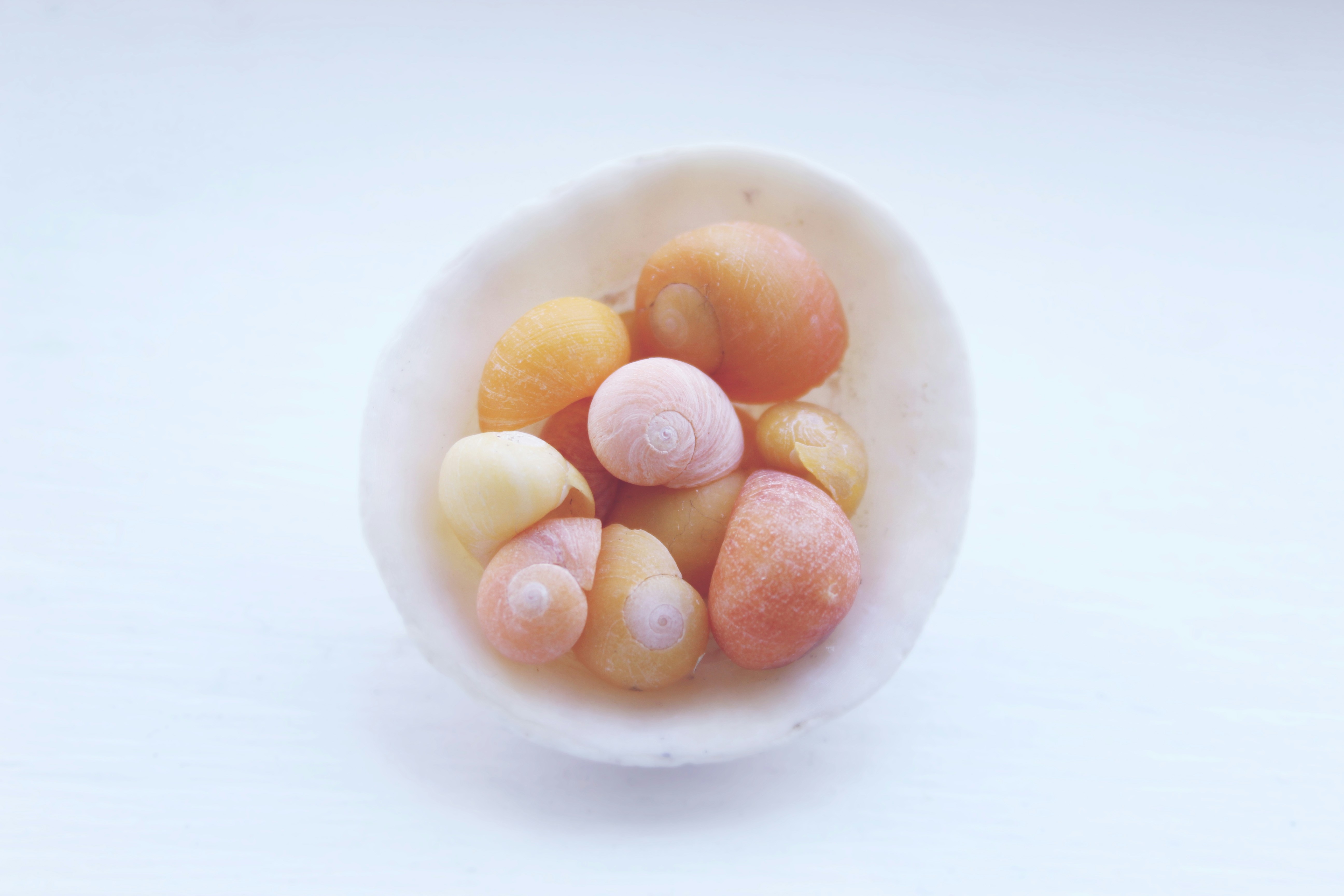 Photo by designfactory