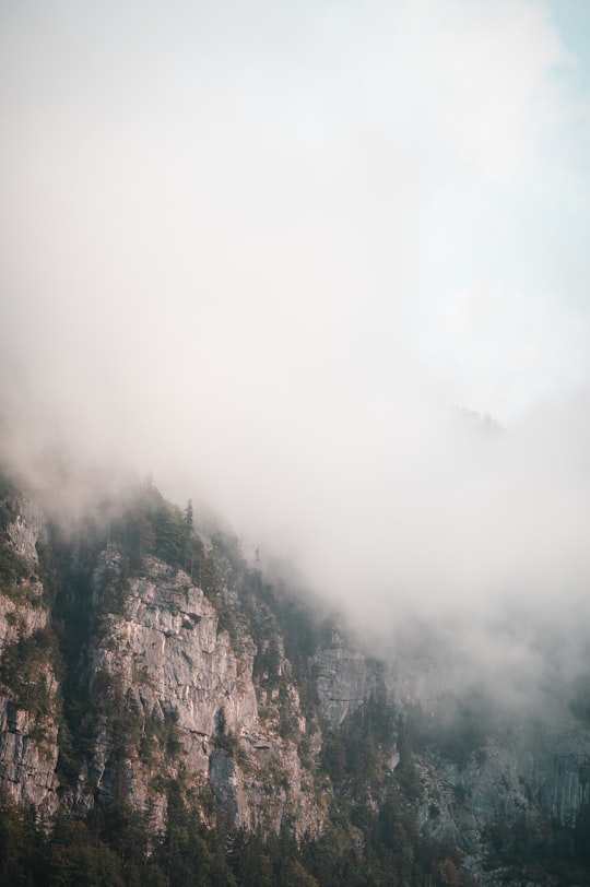 foggy mountain during foggy weather in Obertraun Austria