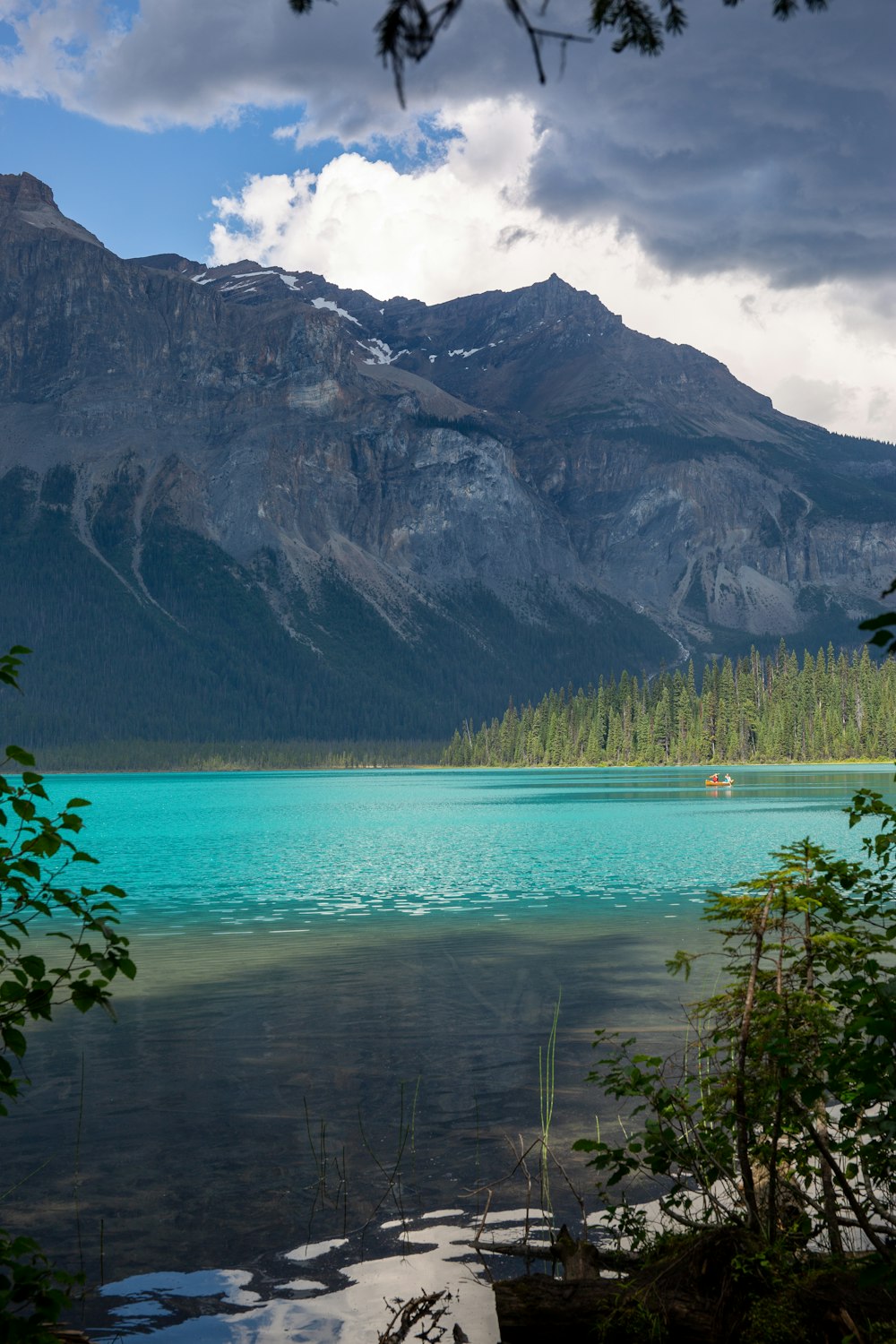 green trees near lake and mountain during daytime