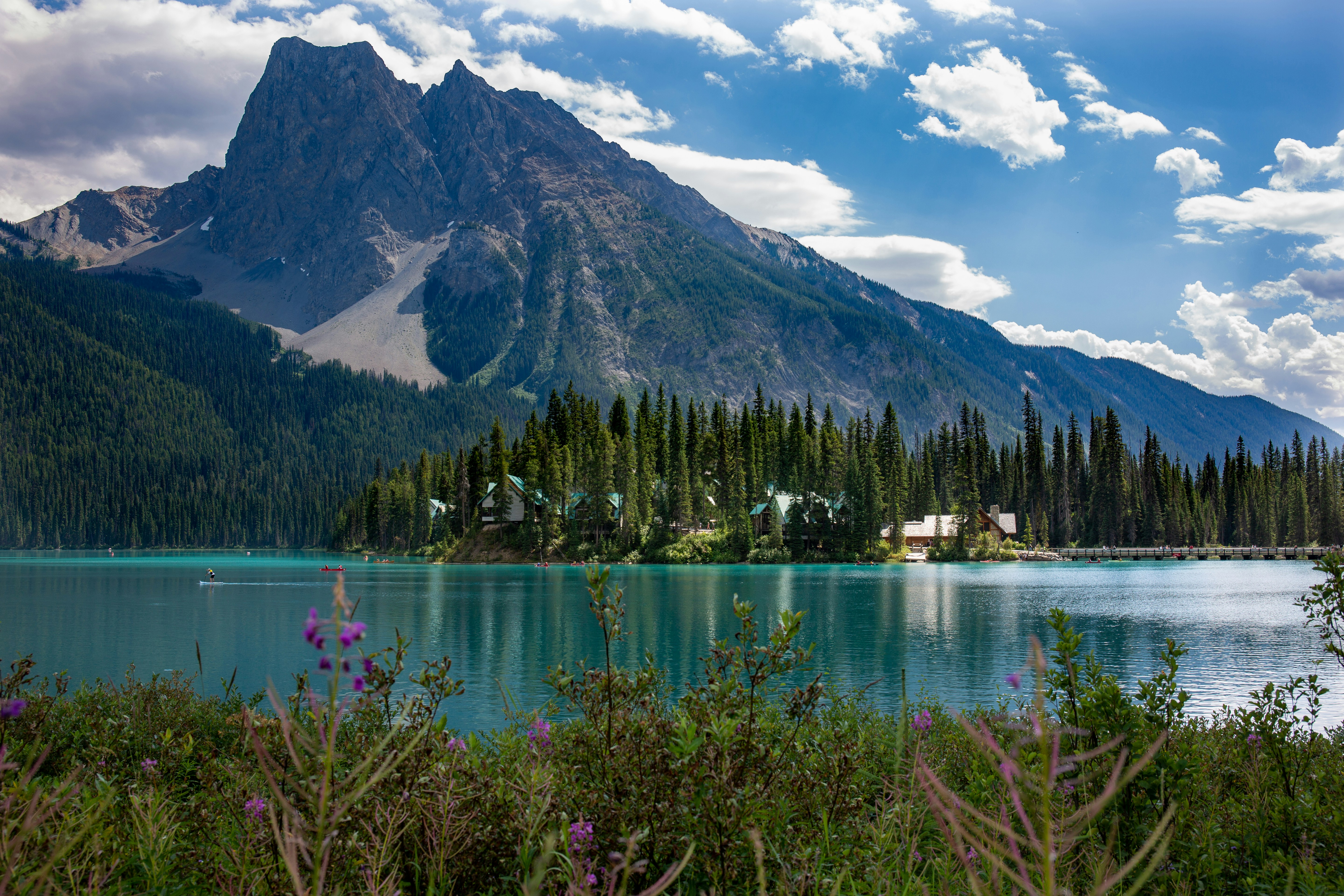 green trees near lake and mountain under blue sky during daytime