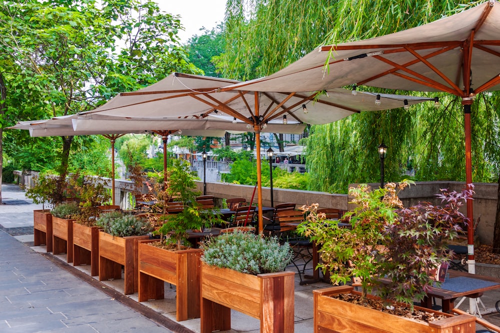 brown wooden table with chairs and green plants