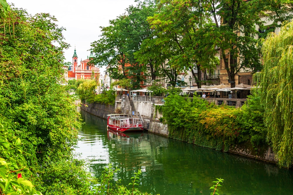 red boat on river near trees during daytime