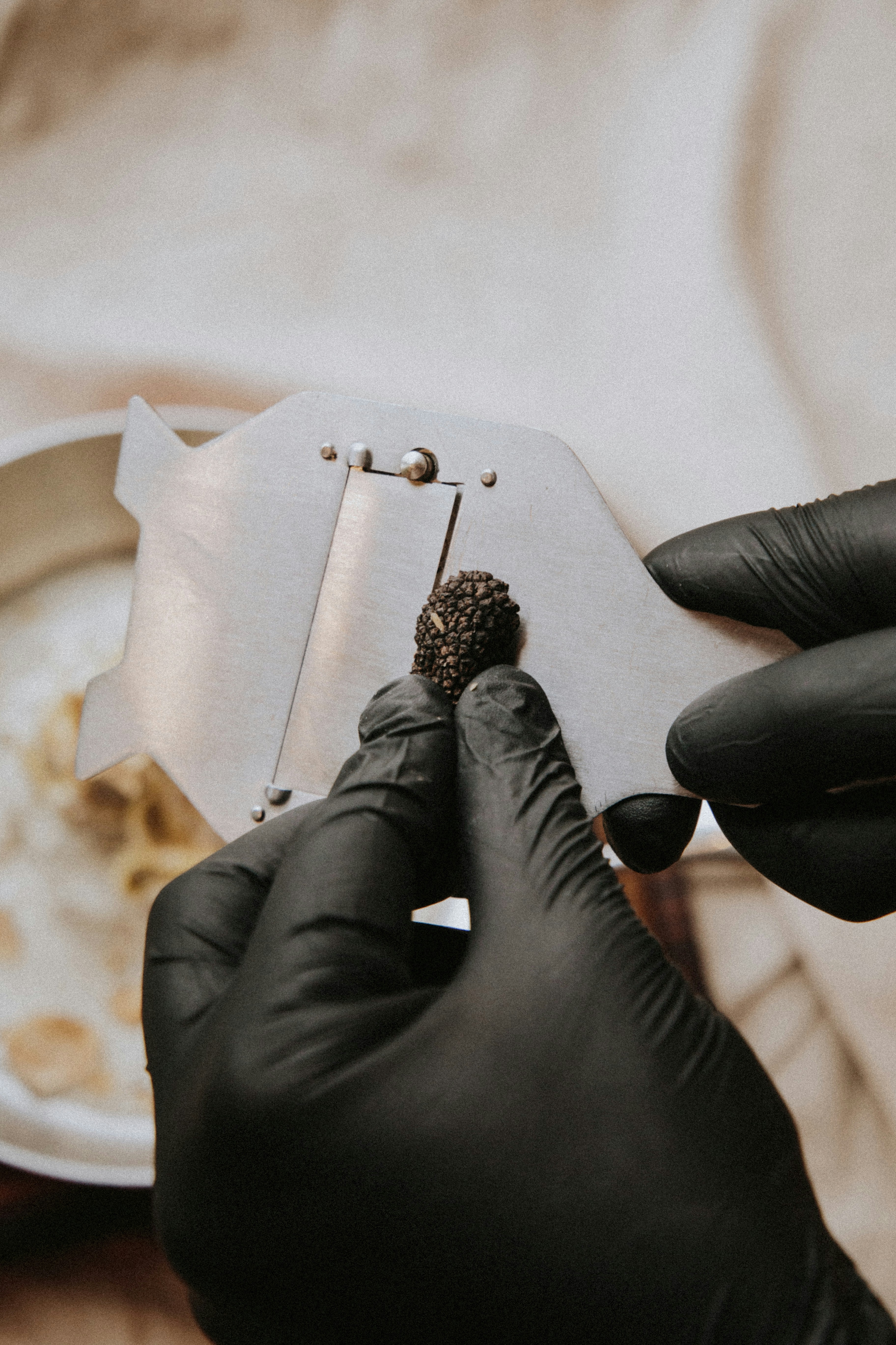 truffle shaving