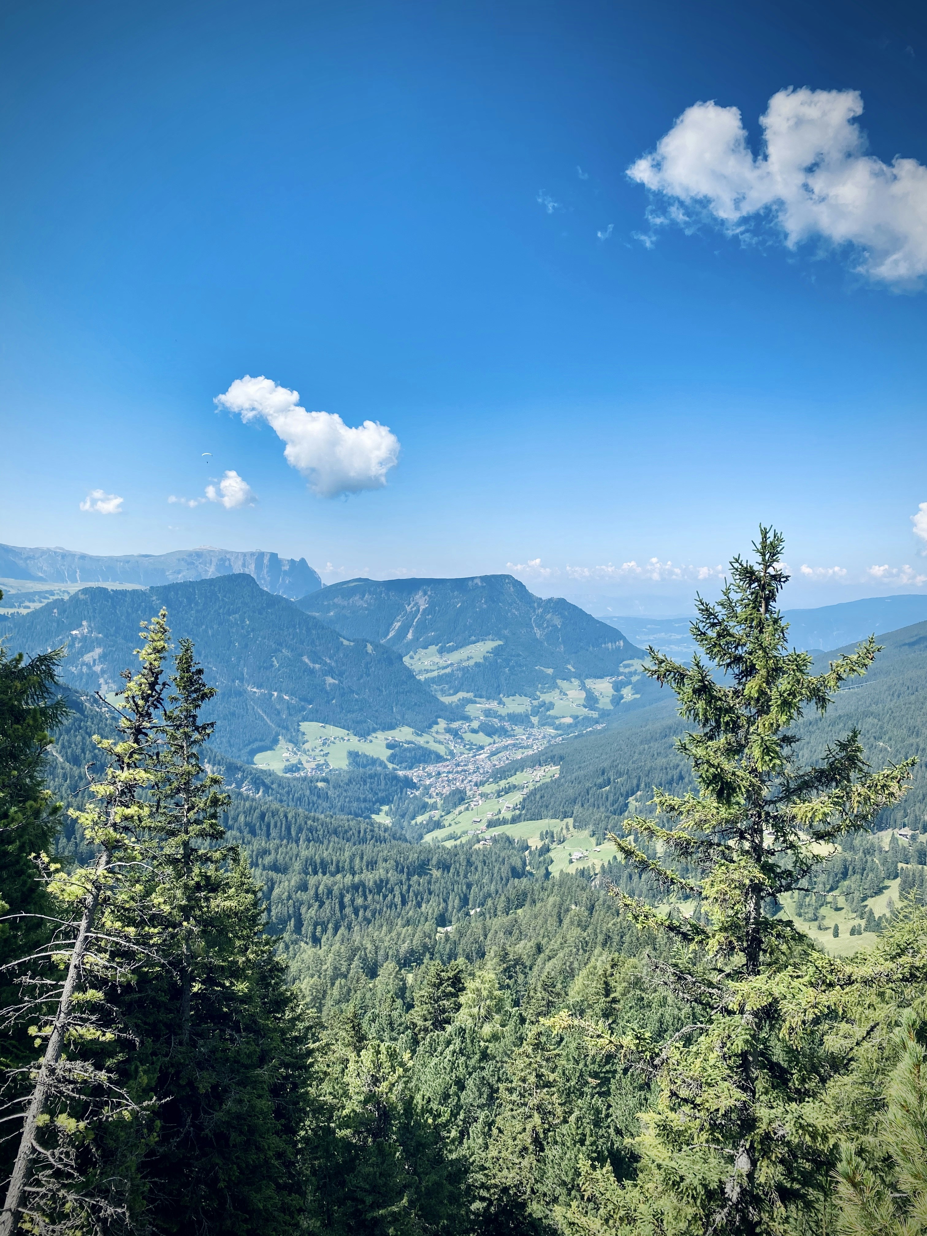 Photo by arnosenoner