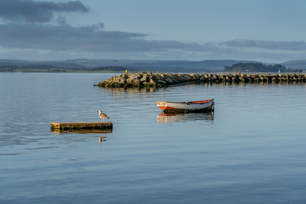 white and red boat on sea during daytime