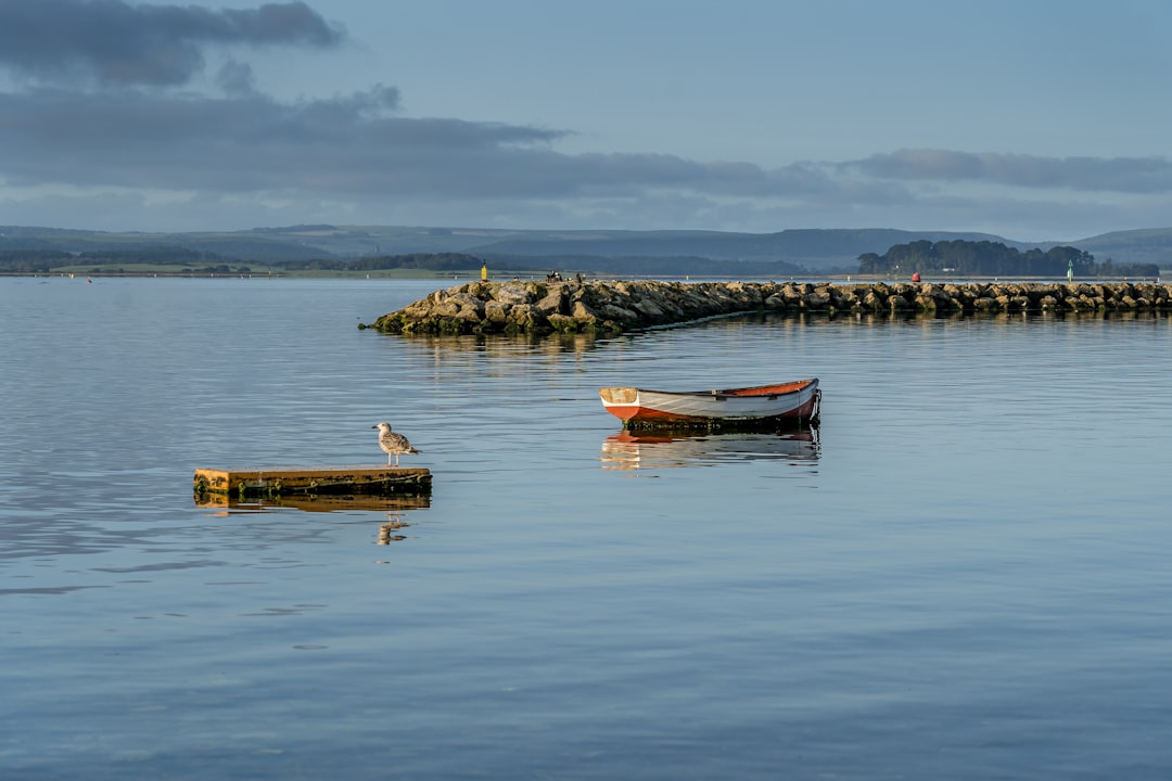 Watercraft rowing photo spot Poole Harbour United Kingdom