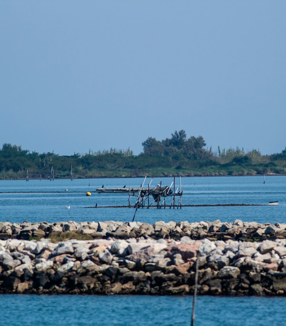 brown wooden dock on body of water during daytime