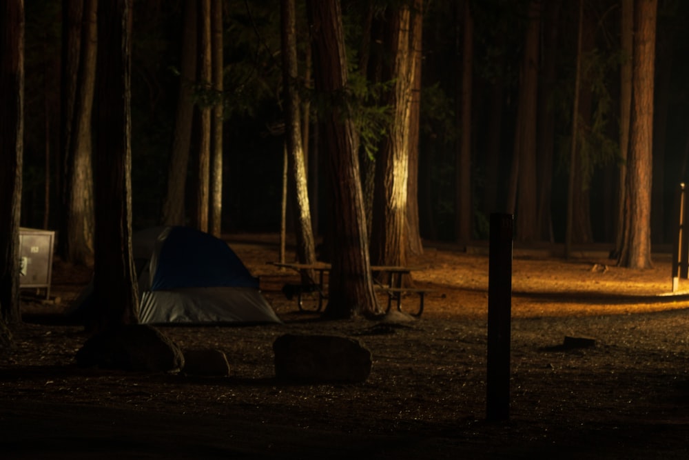 blue tent in the middle of forest during daytime