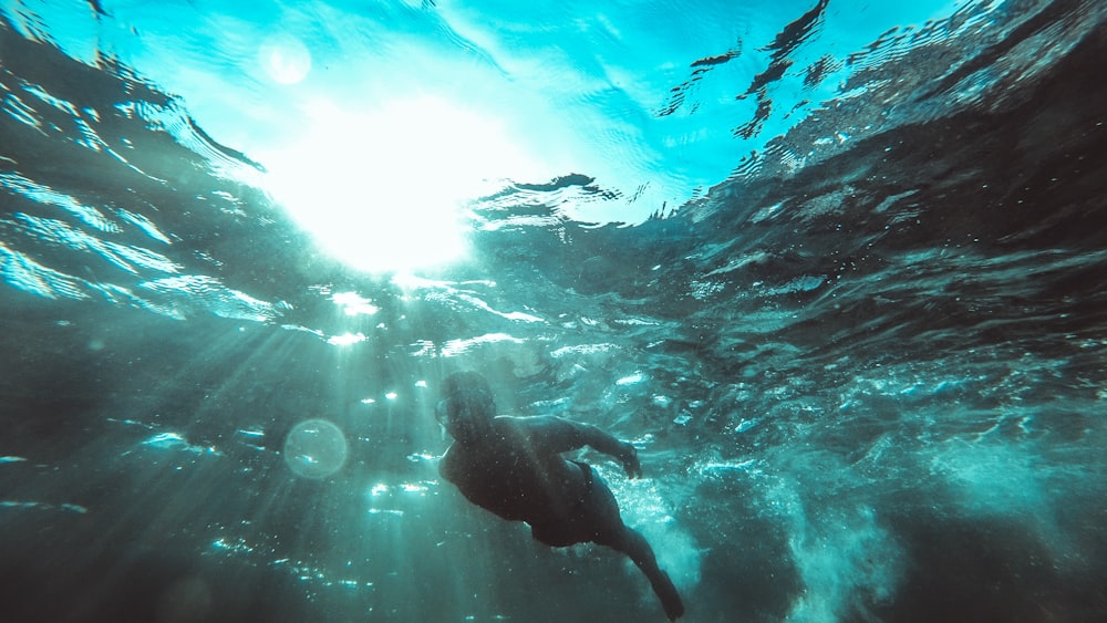 underwater photography of person in black shorts