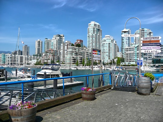 city skyline during day time in Granville Island Canada