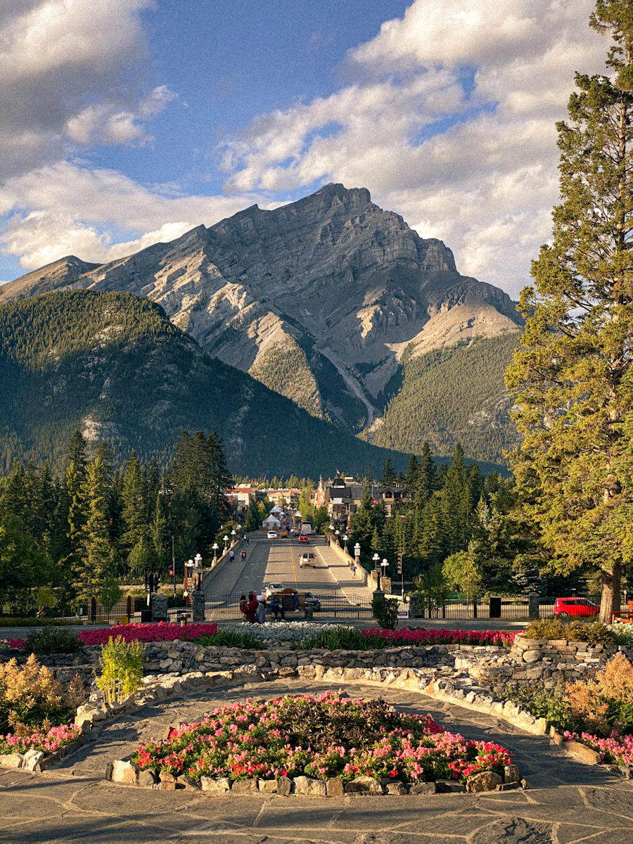 Green trees growing at the base of a mountain in Banff National Park, Alberta
