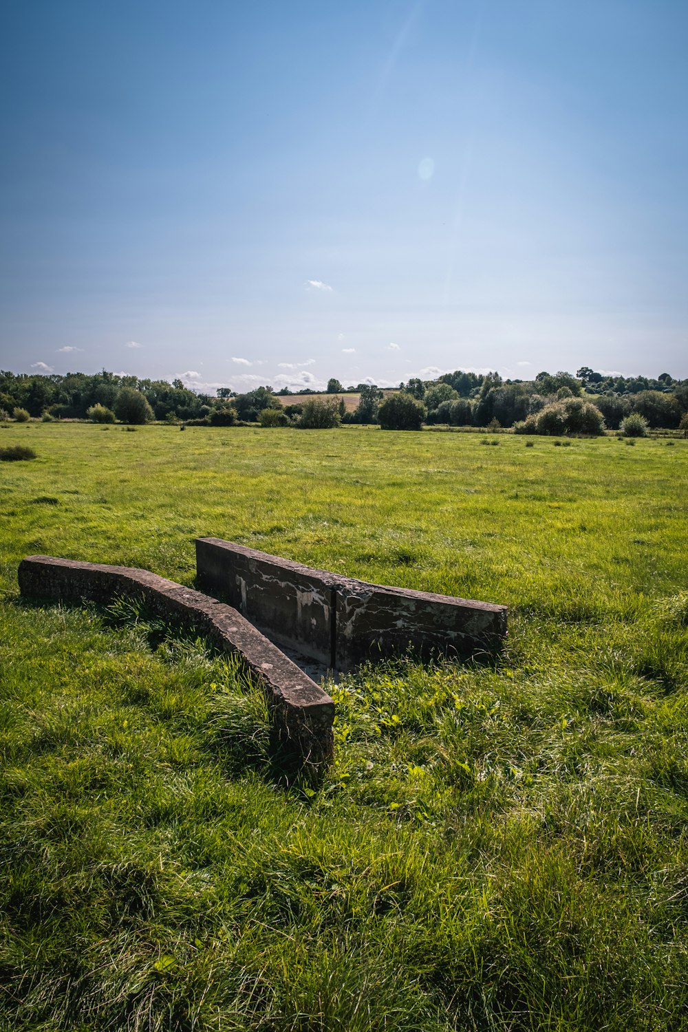 brown wooden bench on green grass field under blue sky during daytime