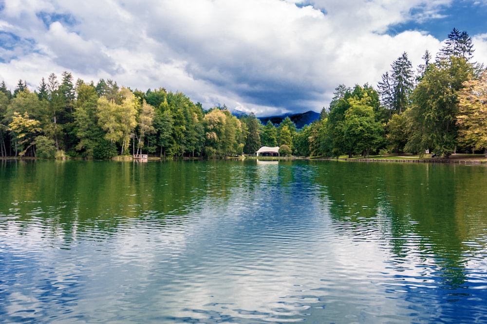 green trees beside body of water under cloudy sky during daytime