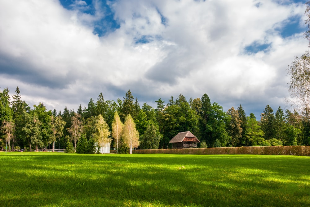 green grass field with trees under white clouds and blue sky during daytime