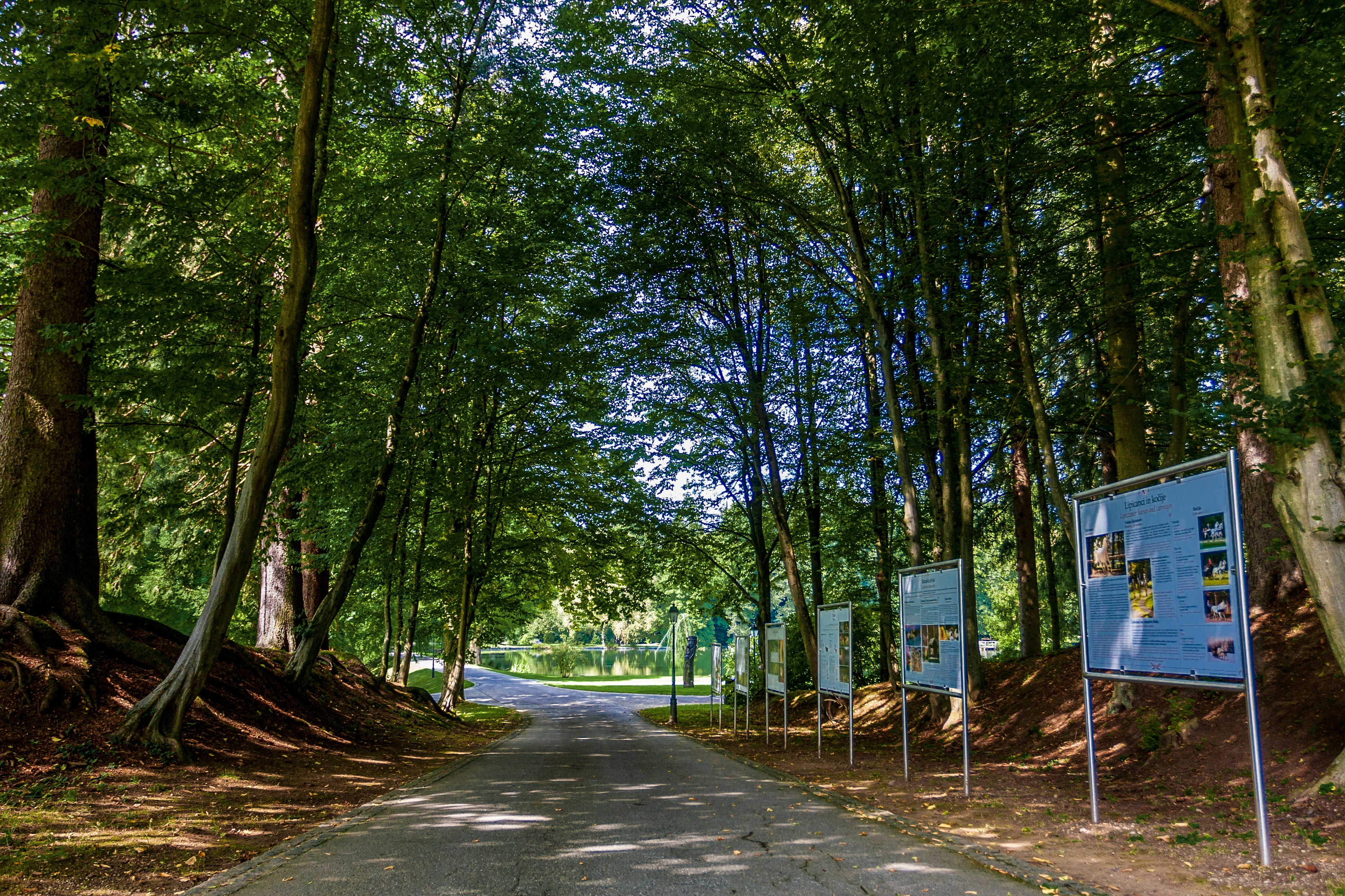 Green Bay Road School