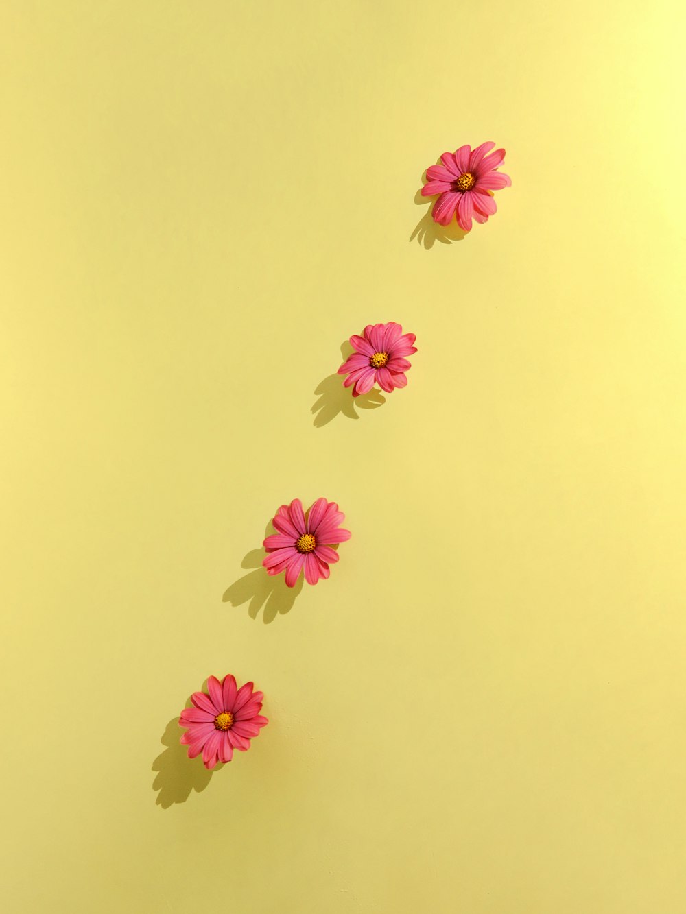 ピンクと黄色の花の絵