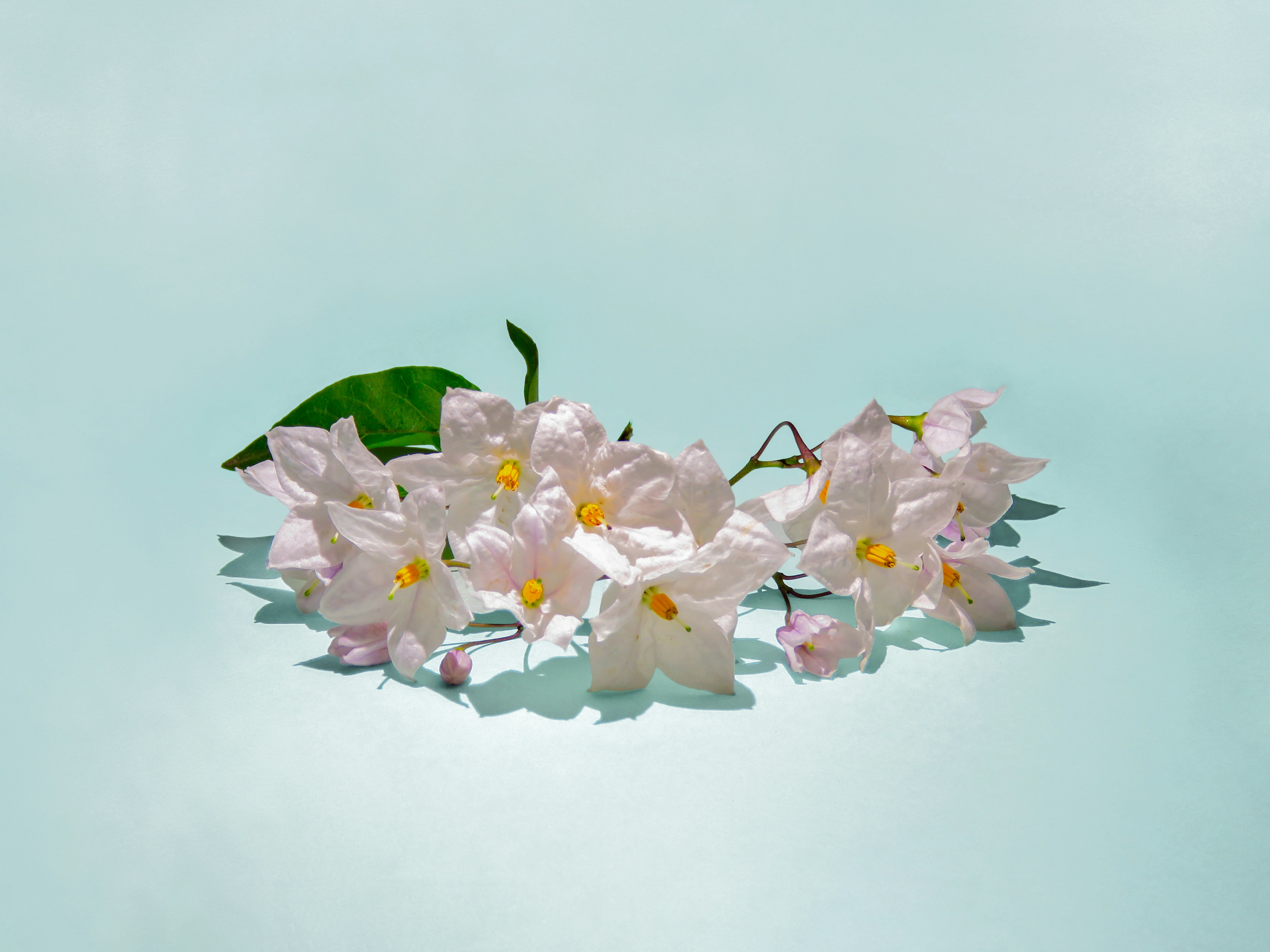 Photo by andres11hernandez