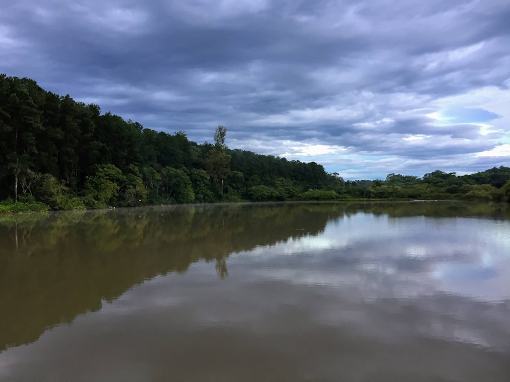 green trees beside river under cloudy sky during daytime