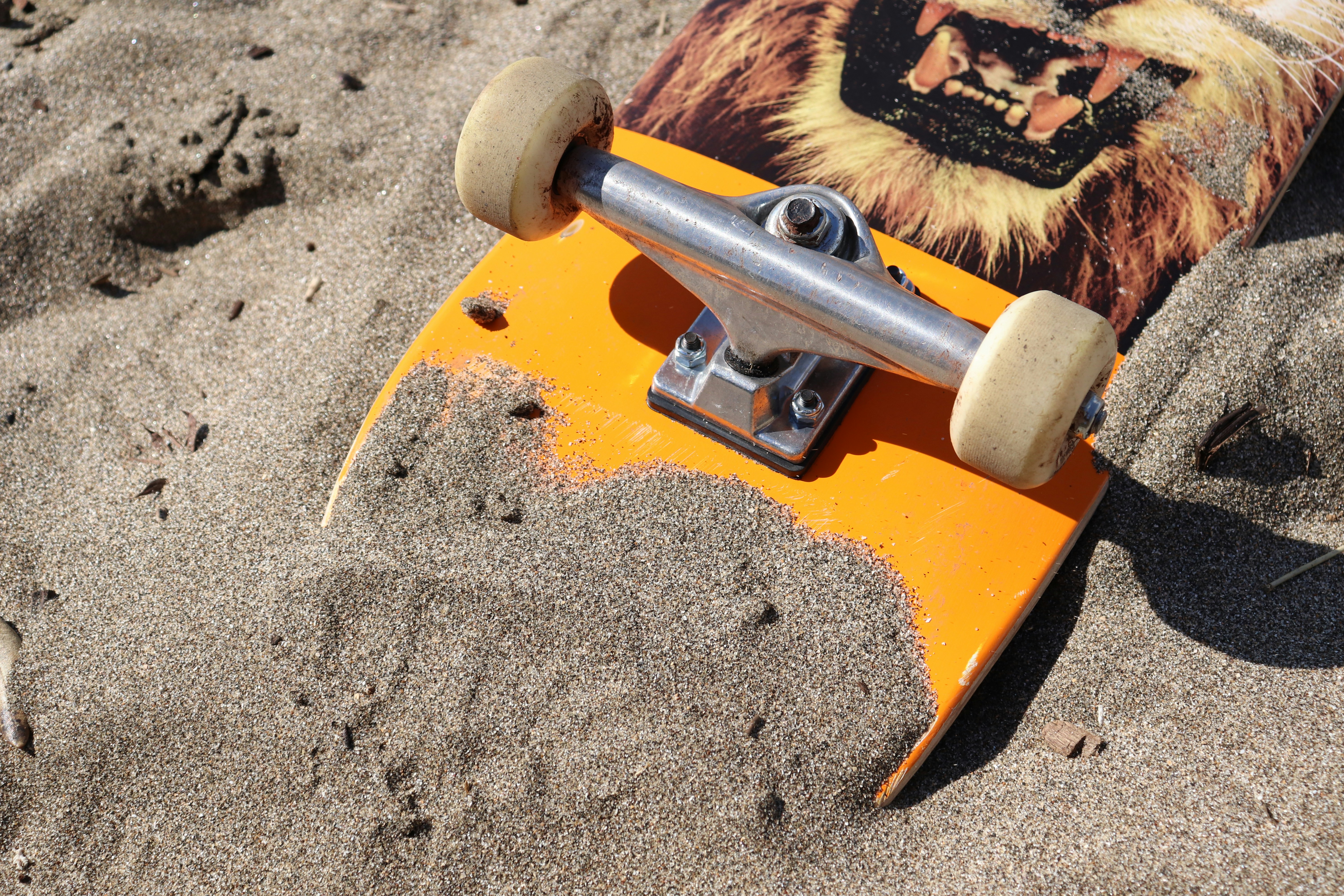 Skateboard Plein