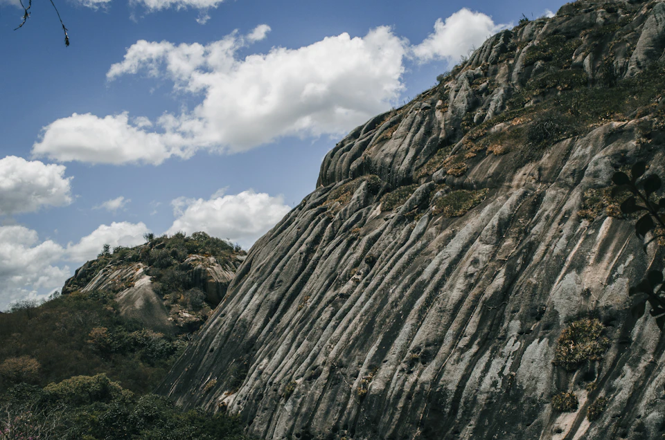 Rocky cliff face with varied textures and colors, covered in grass and shrubs