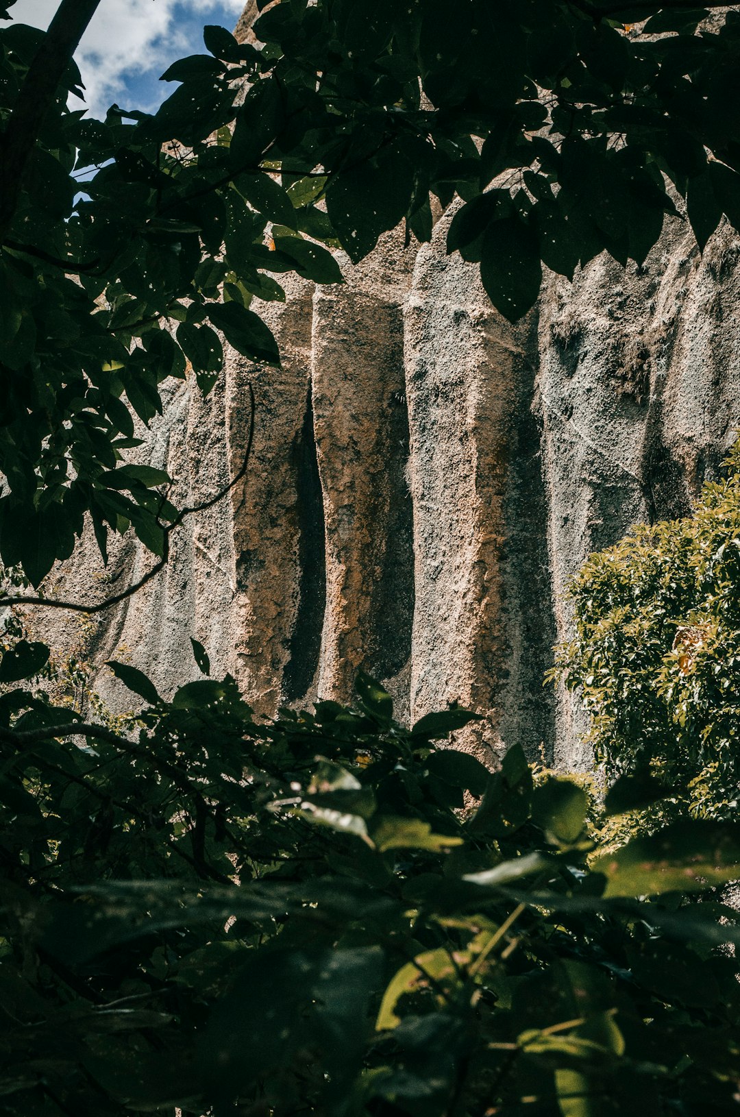 Jungle photo spot Pedra da Boca Brasil