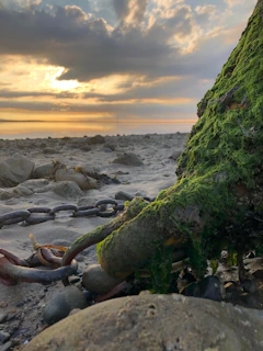 A serene Mediterranean coastline at sunset with an elegant anchor subtly integrated into the scene.