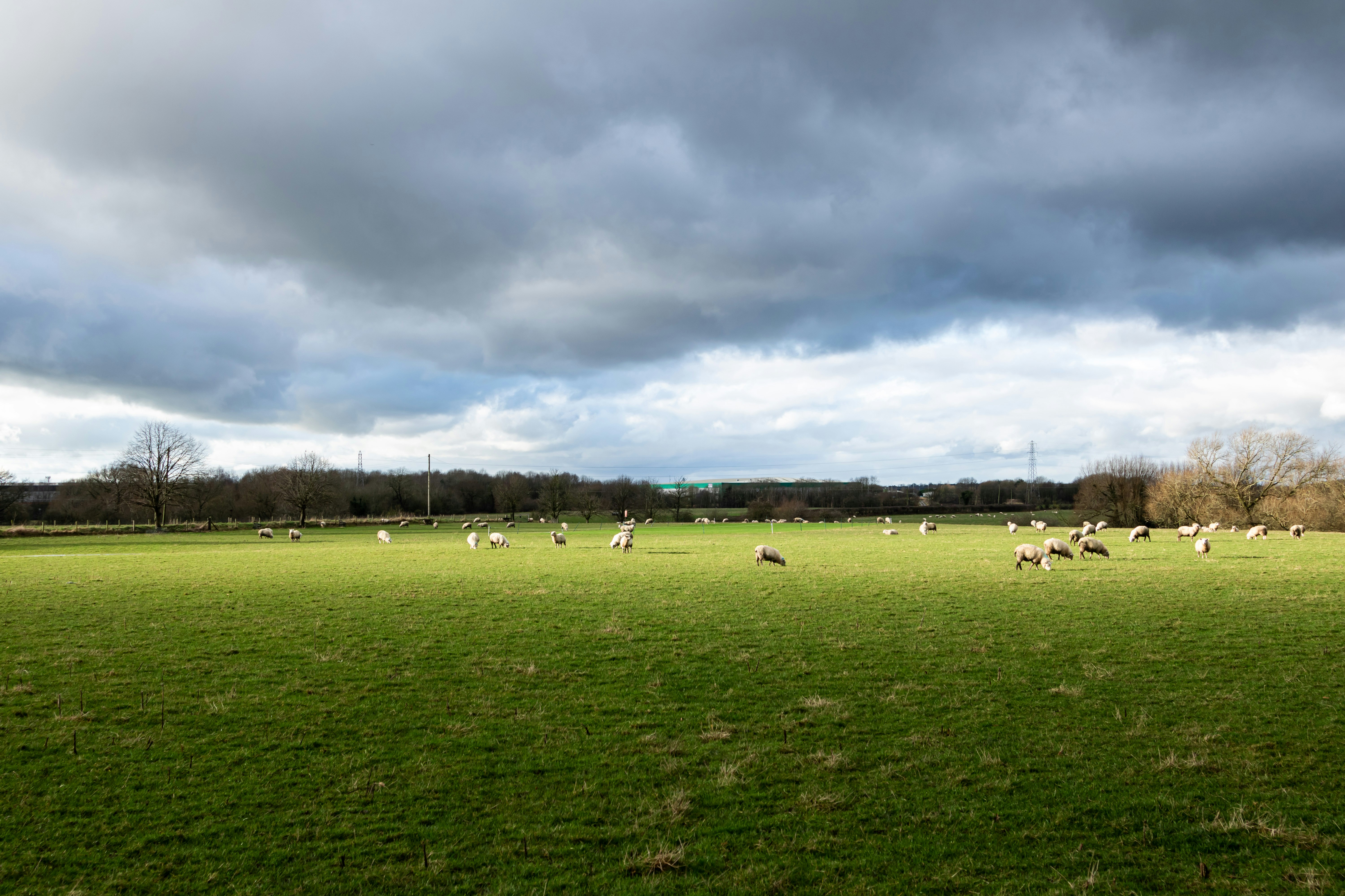 Photo by itscakefortea