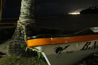 A scene at night with a palm tree in the foreground, wrapped with rope. A small boat with an orange and white hull bearing a logo and the word 'Powerful' is partially visible. In the background, there is a beach and distant bright lights illuminating a structure across the water.