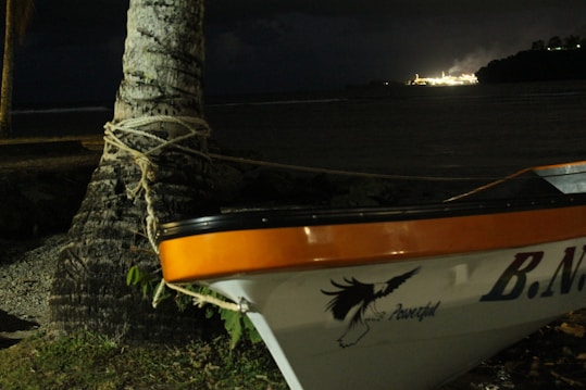 A scene at night with a palm tree in the foreground, wrapped with rope. A small boat with an orange and white hull bearing a logo and the word 'Powerful' is partially visible. In the background, there is a beach and distant bright lights illuminating a structure across the water.