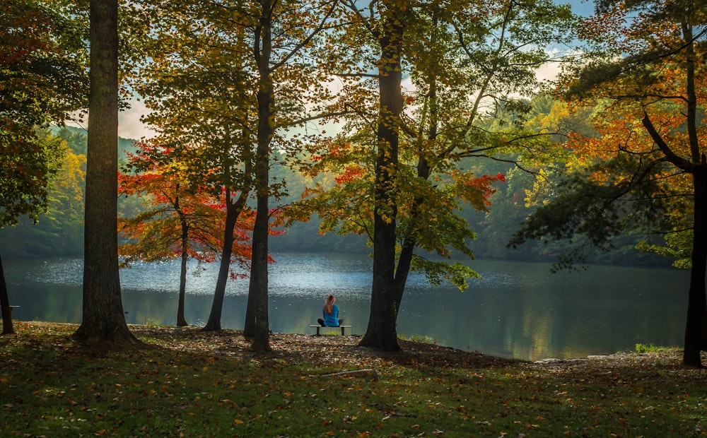 person sitting on bench near body of water during daytime