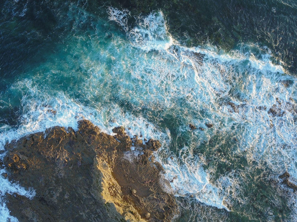 blue and white water waves