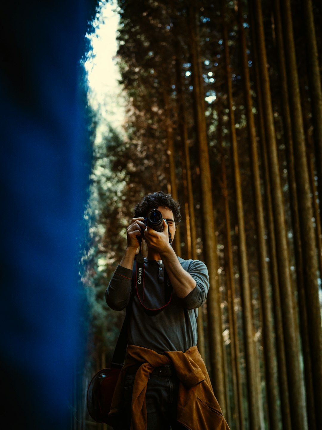 Forest photo spot Kiyotaki River Byōdō-in